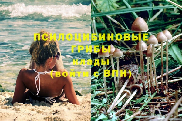 трава Приозерск