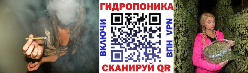 Канабис конопля Купить закладки Алупка